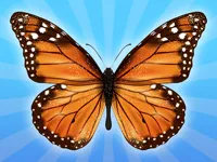 MergeButerfly: 2048!